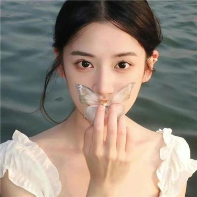 安妮·法兰克的最后七个月